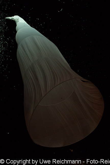 2010_09_25_21.44.46h_0232