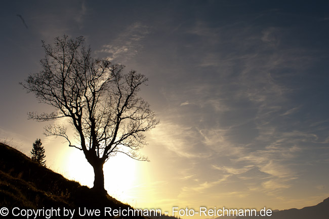 2010_10_11_17.50.00h_0472