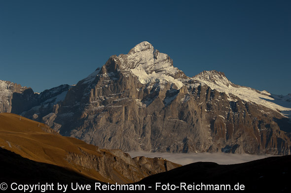 2010_10_14_17.33.42h_0732