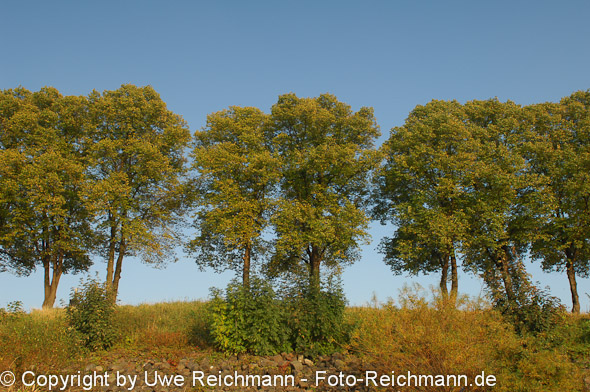 2011_10_02-17.26.30h_0189