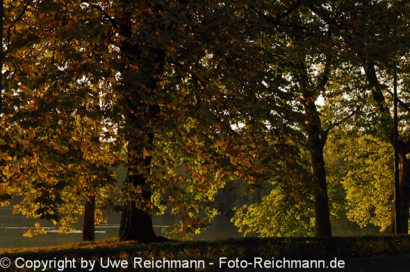 2011_10_02-18.05.50h_0295