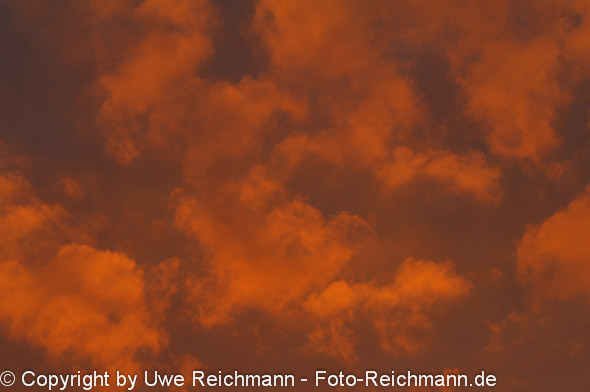 2011_10_06-18.54.28h_0331