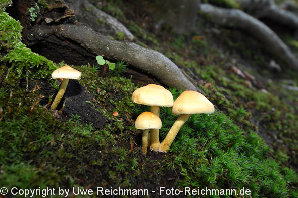 2011_10_16-14.17.04h_0272