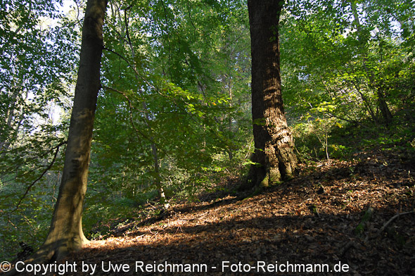 2011_10_16-14.19.24h_0278