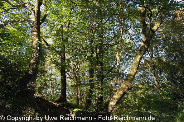 2011_10_16-14.35.36h_0303