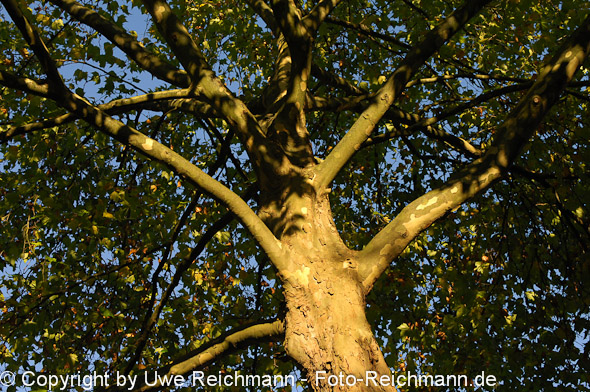 2011_10_23-17.10.18h_0054