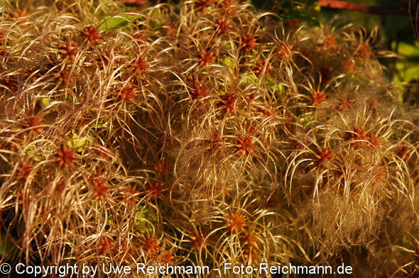 2011_10_23-17.23.04h_0071