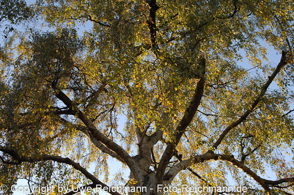 2011_10_23-17.24.06h_0077