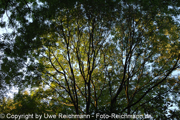 2011_10_23-17.36.16h_0088