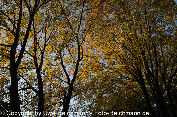 2011_10_23-17.38.26h_0090