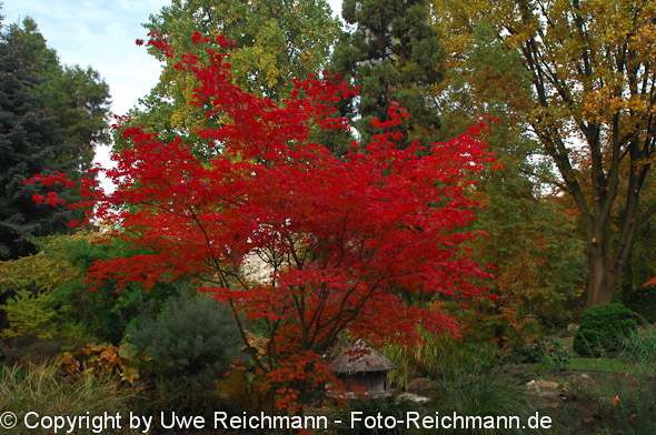 2011_10_27-15.14.32h_0103