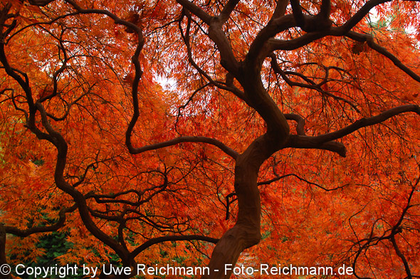 2011_10_27-15.25.00h_0132