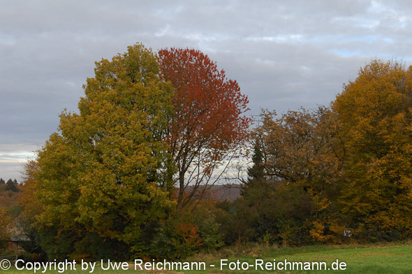 2011_10_29-16.06.34h_0274