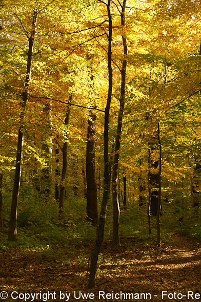 2011_10_29-16.23.32h_0306