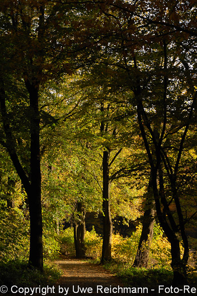 2011_10_29-16.29.58h_0333