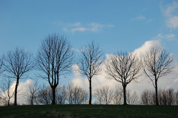 2007_03_02_17.00.26h